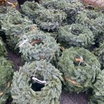 Vianočný veniec (Abies Nobilis) - slamený základ 30 cm, celkový vonkajší priemer 35-40 cm